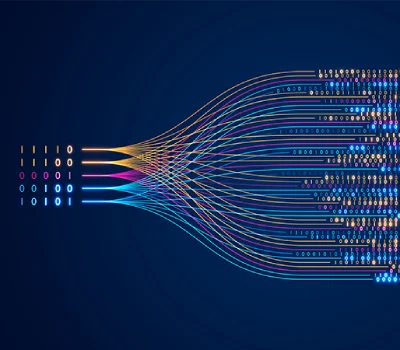 Data Management & Processing